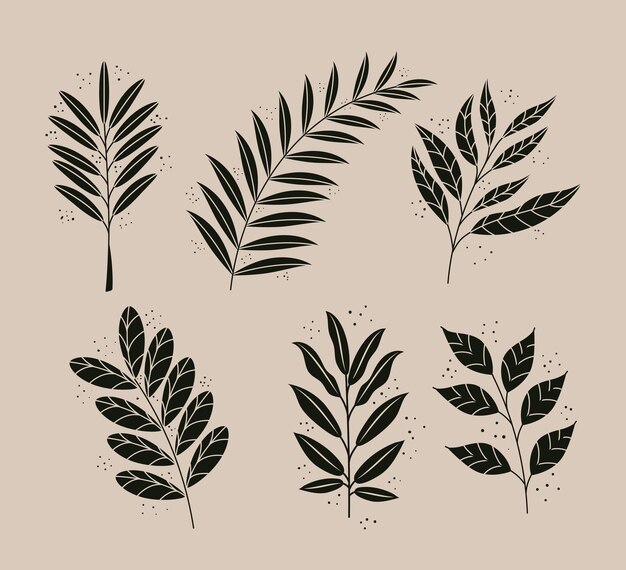 Paquete de seis iconos de naturaleza de plantas de hojas de estilo boho