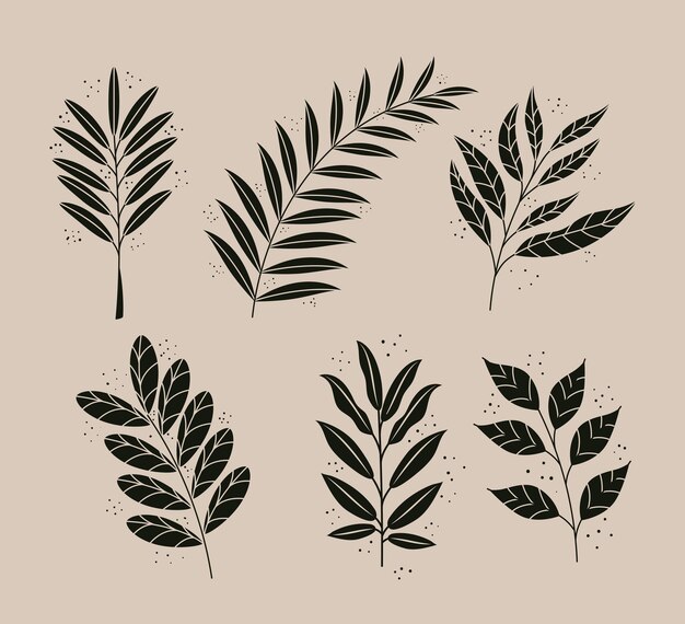 Vector paquete de seis iconos de naturaleza de plantas de hojas de estilo boho