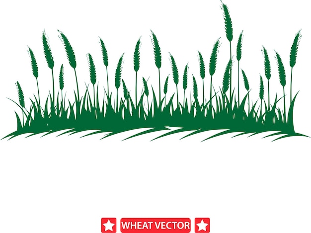 Vector el paquete de siluetas vectoriales de los campos de trigo rústicos