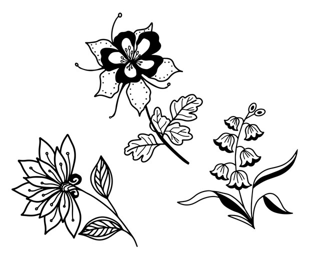Paquete de vectores decorativos florales