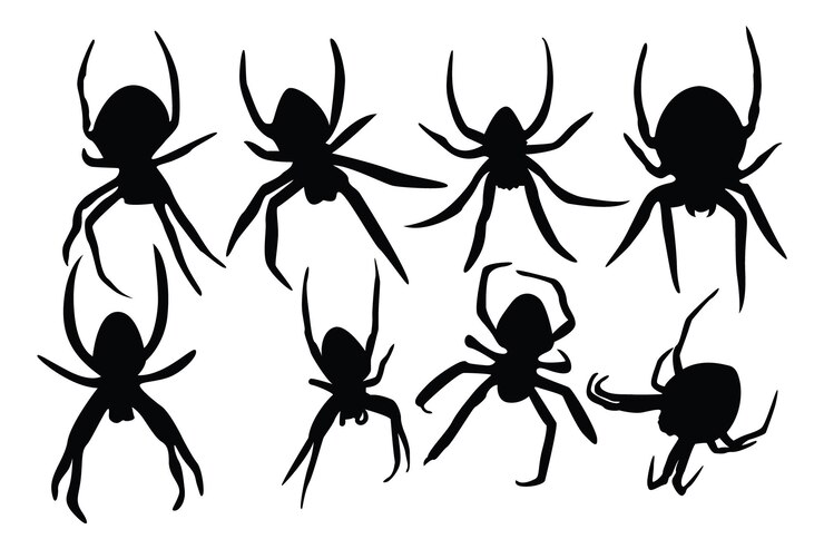 Paquete de vectores de ilustración de diseño de araña negra