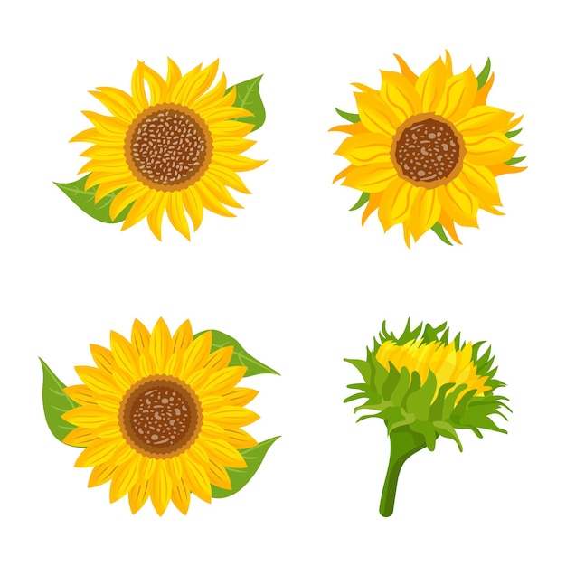 Paquete de vectores planos de girasol