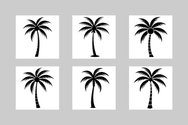 El paquete vectorial de la silueta del árbol de coco 6 conjuntos únicos