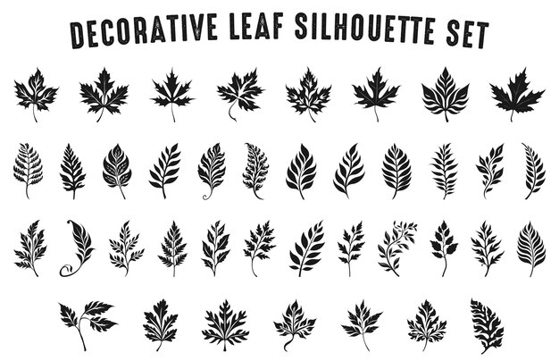 Paquete vectorial de siluetas de hojas decorativas Conjunto de imágenes prediseñadas de silueta de hojas decorativas Varias hojas