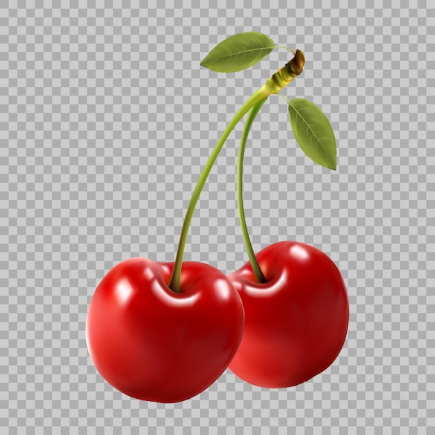 Vector un par de cerezas con hojas sobre un fondo transparente.