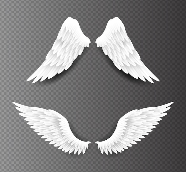 Vector par de hermosas alas de ángel blancas aisladas sobre fondo transparente, ilustración realista en 3d. espiritualidad y libertad