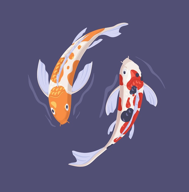 Un par de peces koi nadando junto a un estanque asiático. Dos carpas decorativas japonesas orientales en la vista superior del agua. Concepto de armonía, equilibrio, dualidad y zen. Ilustración de vector plano.