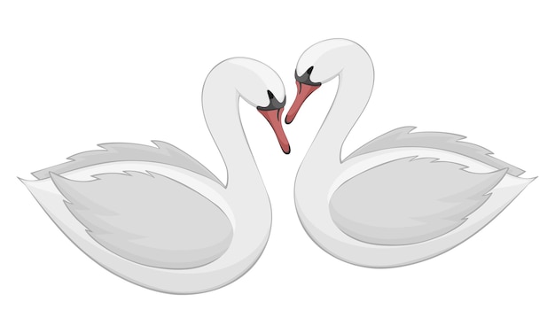 Pareja de cisnes blancos. Aves. Símbolo. Amar. Blanco. Enamorado. Tarjeta. Textura vectorial. Objetos aislados.