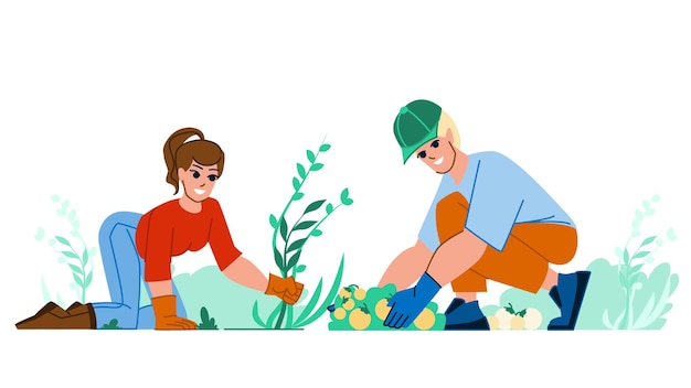 Pareja, jardinería, vector