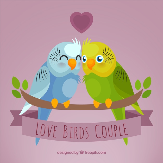 Pareja de pájaros enamorados