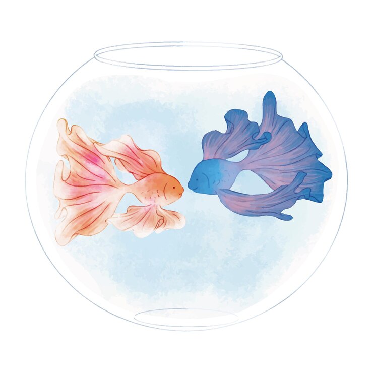 Vector pareja de peces betta en un tanque de tazón ilustración linda