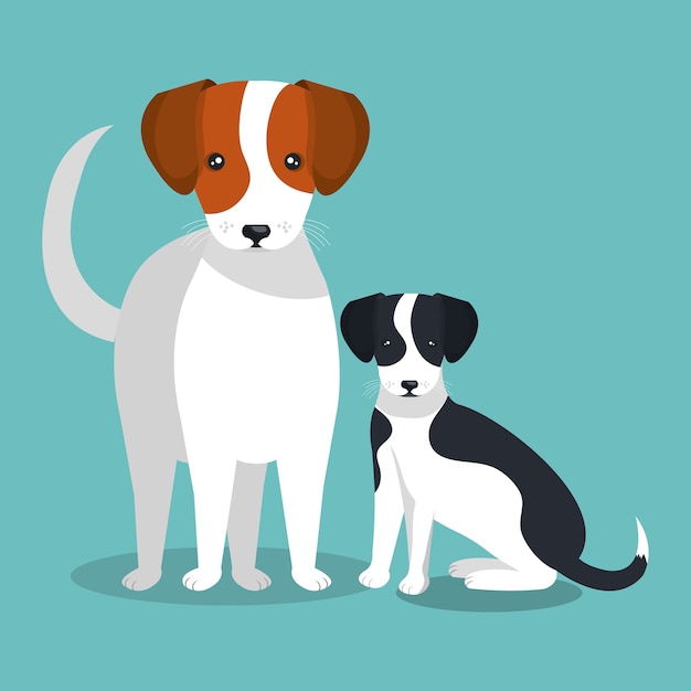 Vector pareja raza perros aislados icono de diseño