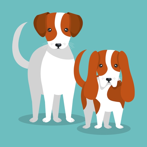 Vector pareja raza perros aislados icono de diseño