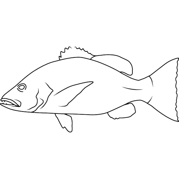 Vector pargo gris mano esbozada mano dibujada vector clipart