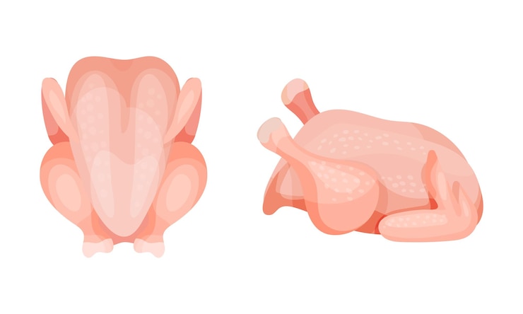 Vector parte de carne de pollo con todo redondo o carcasa como conjunto vectorial de productos agrícolas