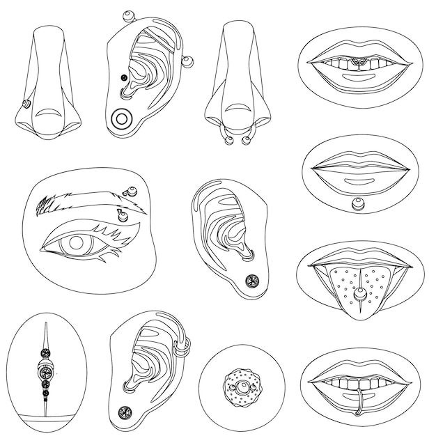 Vector partes del cuerpo humano órganos del cuerpo humano eps ilustración vectorial para anatomía y diseños médicos