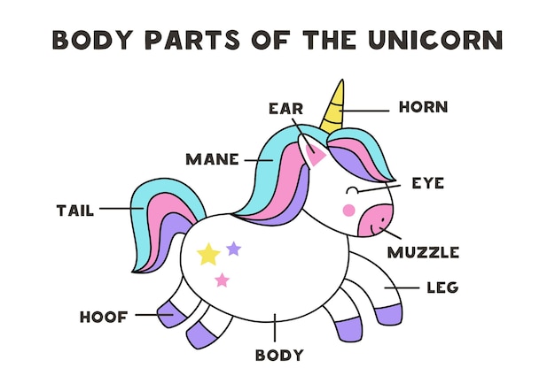 Partes del cuerpo de un lindo unicornio de dibujos animados. Esquema para niños.