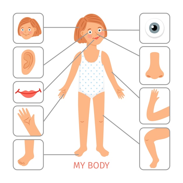 Partes del cuerpo de la niña. Ilustración de vector de dibujos animados de partes del cuerpo de niña preescolar, brazo y pierna, nariz y ojo, cabello y cuello sobre fondo blanco