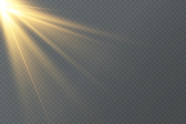 Partículas doradas de luz. Luz dorada. Llamarada de luz. Estrellas aisladas sobre fondo transparente.