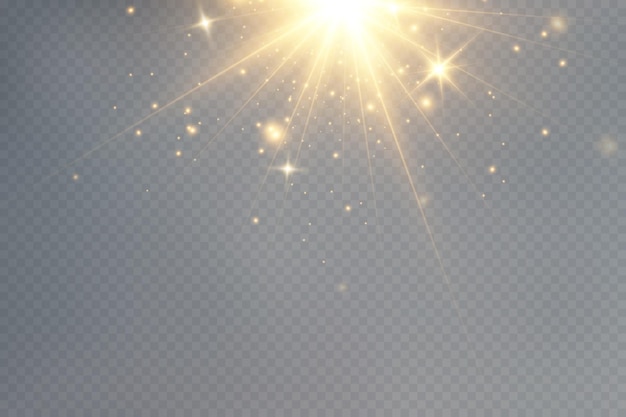 Partículas doradas de luz. Luz dorada. Llamarada de luz. Estrellas aisladas sobre fondo transparente