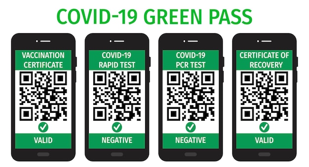 El pase verde digital con código qr en la pantalla del teléfono móvil con marca de verificación pasaporte de salud covid19