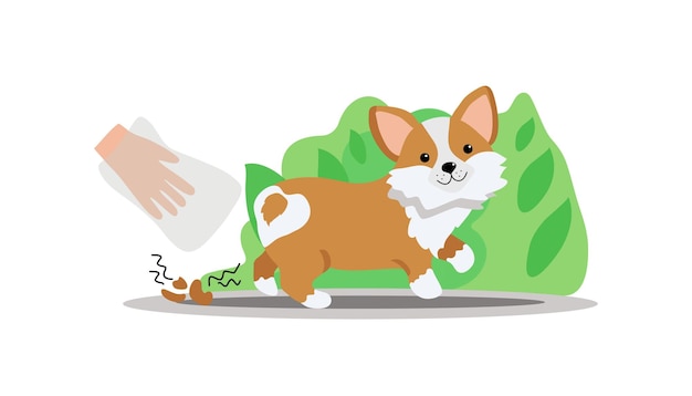 Vector paseando con una mascota corgi