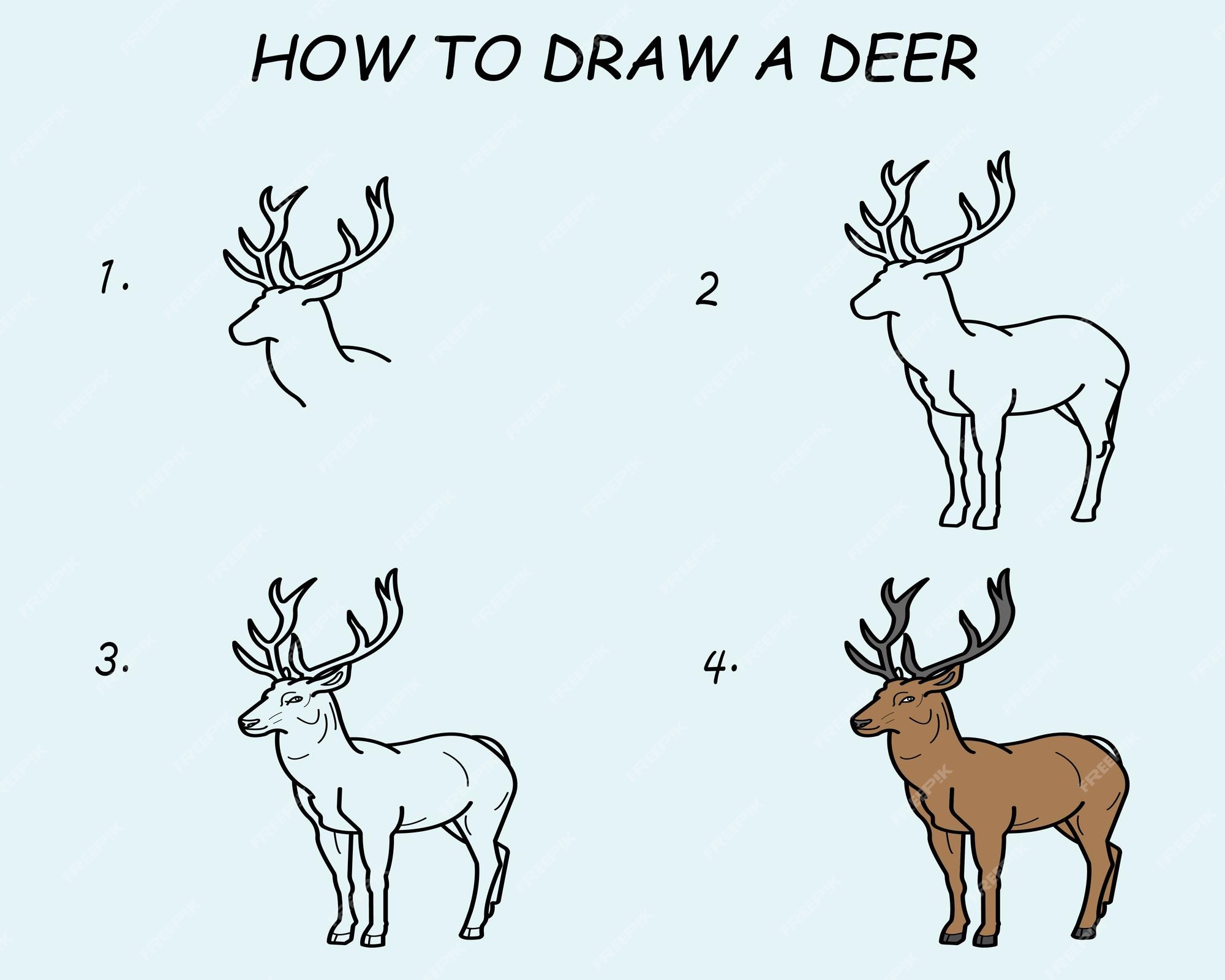 Paso a paso para dibujar un ciervo. tutorial de dibujo de un ciervo.  lección de dibujo para niños. | Vector Premium