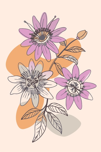 Passiflora rama de la flor de la pasión con flores y manchas de color Ilustración vectorial botánica