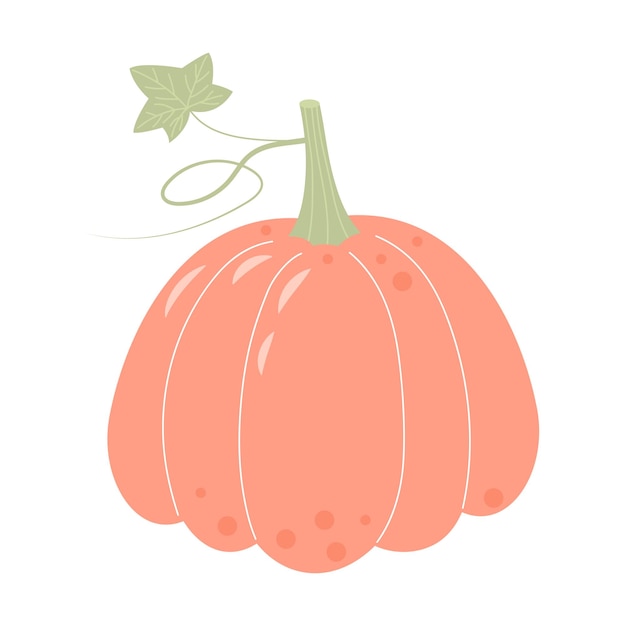 Pastel boho calabaza aislado sobre fondo blanco Día de Acción de Gracias Festival de la cosecha Símbolo de Halloween