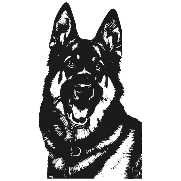 Pastor alemán cuadro dibujado a mano dibujo en blanco y negro de perro