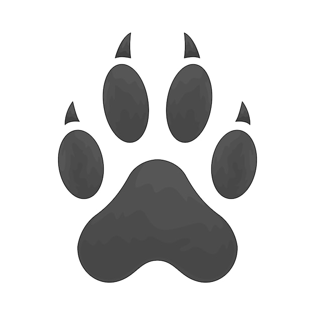 la pata de un animal