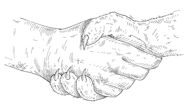 Pata de gato apretón de manos y mano humana. Ilustración de eclosión monocromática vintage aislada sobre fondo blanco. Elemento de diseño dibujado a mano
