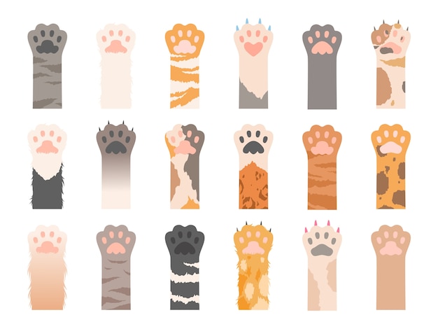 Pata de mascotas. gatos salvajes diferentes patas con colección de garras. pata de animal doméstico de color con garra, ilustración de pie de gato animal
