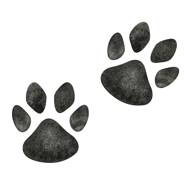 Vector pata de perro o gato ilustración acuarela dibujada a mano lindas huellas de animales