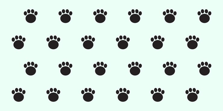 Patas de oso sin costuras
