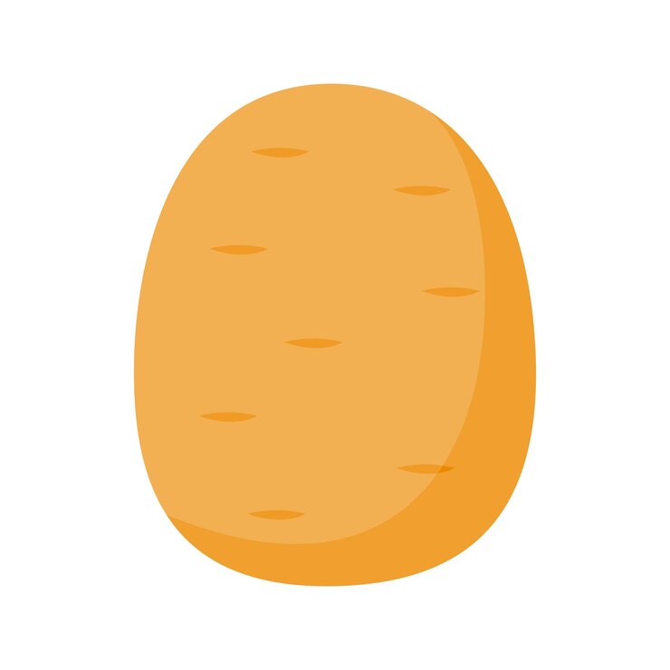 Vector patata aislada sobre fondo blanco