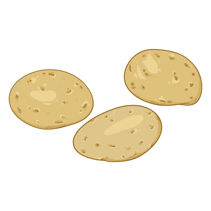 Vector patata de dibujos animados de vector