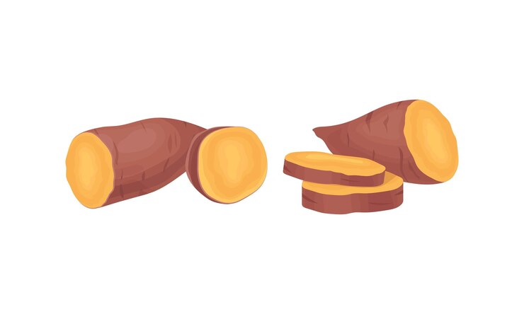 Vector patata dulce picada o batata como un conjunto vectorial de verduras de raíz de sabor dulce y gran almidón