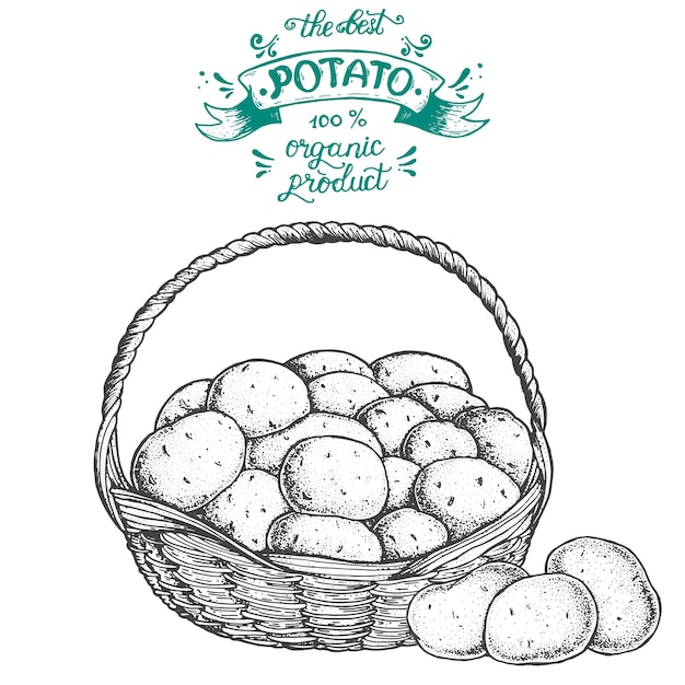 Vector patata vector ilustración cesta de patatas estilo grabado dibujado a mano