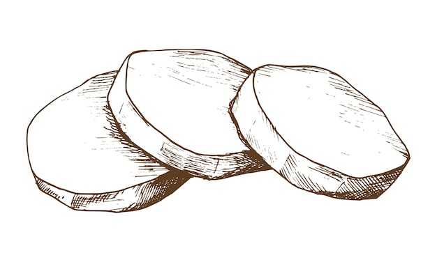 Patatas blancas descascaradas cortadas en rodajas redondas y plegadas en una pila ilustración gráfica dibujada a mano
