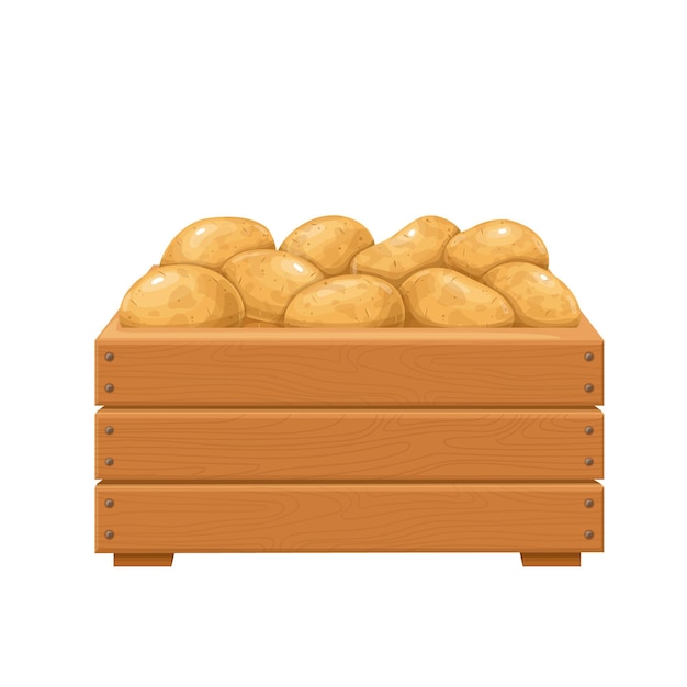 Vector patatas maduras en la ilustración de la caja de madera. cosecha otoñal de patatas.