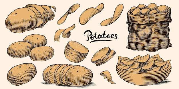 Patatas y plantas colección dibujada a mano de verduras y papas fritas en un plato y un saco lleno de fresco