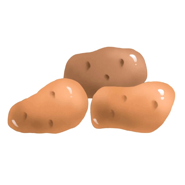 Vector patatas