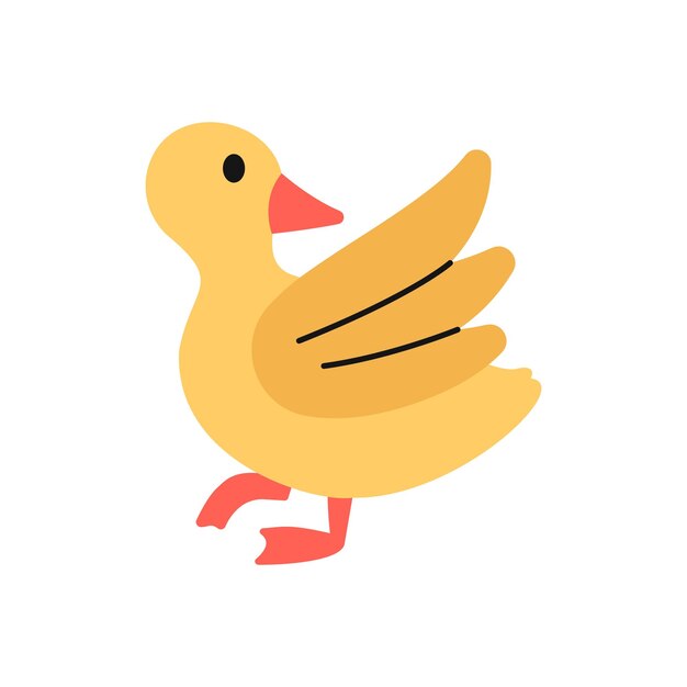 patito, ilustración