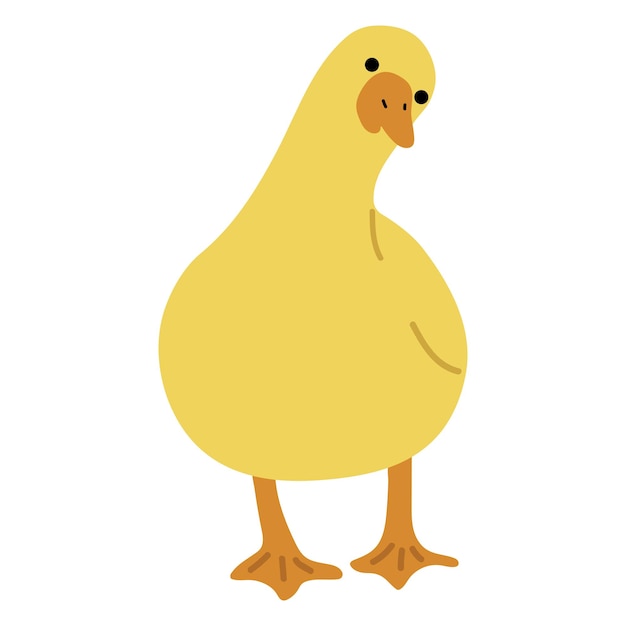 Pato amarillo sencillo 29
