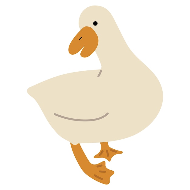 Vector pato blanco sencillo 11