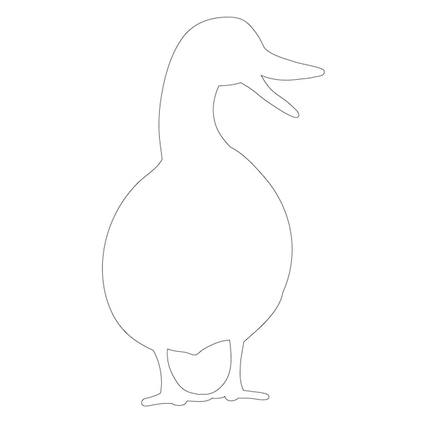 Vector pato de contorno sobre fondo blanco.