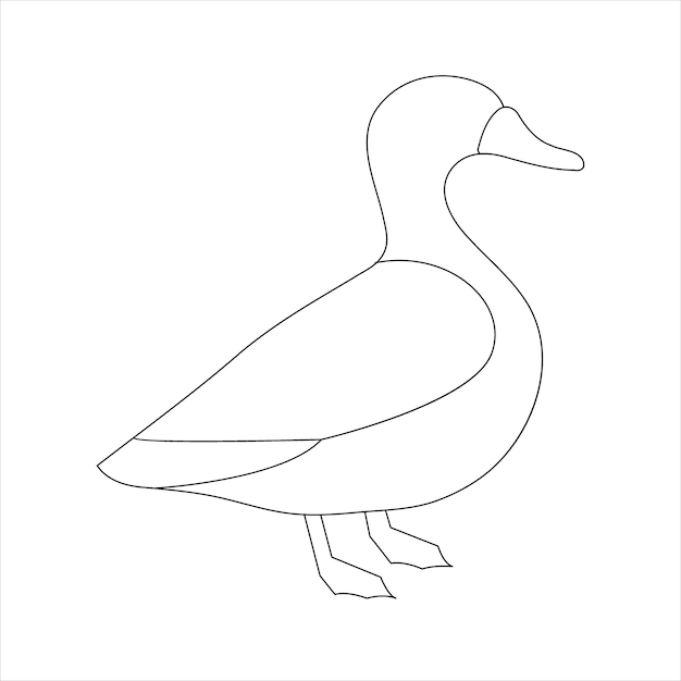 Un pato Ilustración vectorial de dibujo continuo de una sola línea Contorno continuo del icono de pájaro animal