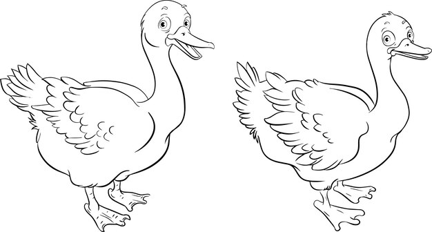 Vector pato lindo