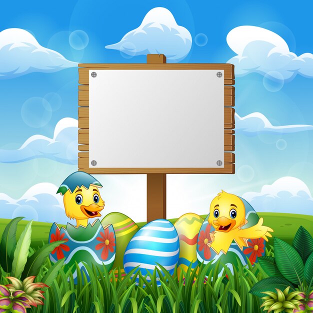 Pato de Pascua con huevos y signo en blanco en el campo